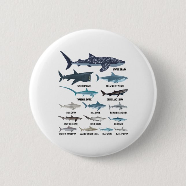 Types Of Sharks Shark Species Identification Ocean Button (Front)
