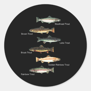 Types Of Trout Fish Species Collection Fishing Classic Round Sticker
