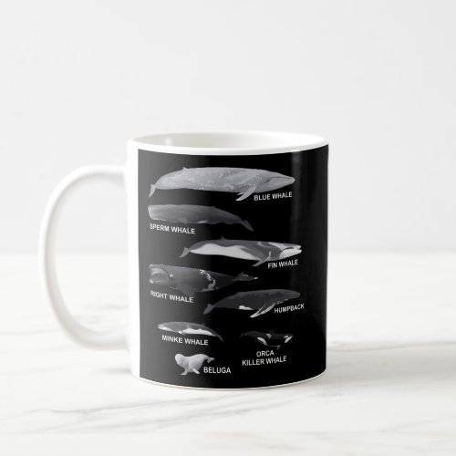 Types Of Whales Educational Coffee Mug