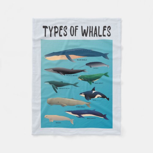 Types Of Whales Ocean Mammal Variety  Fleece Blanket