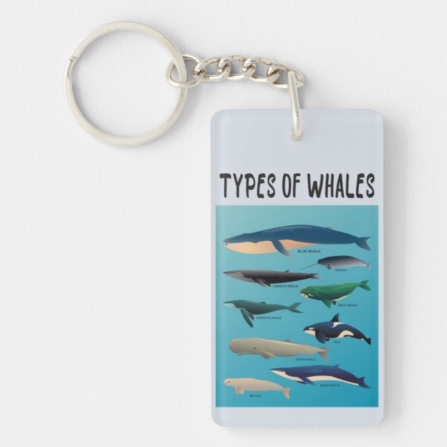 Types Of Whales Ocean Mammal Variety  Keychain (Front)