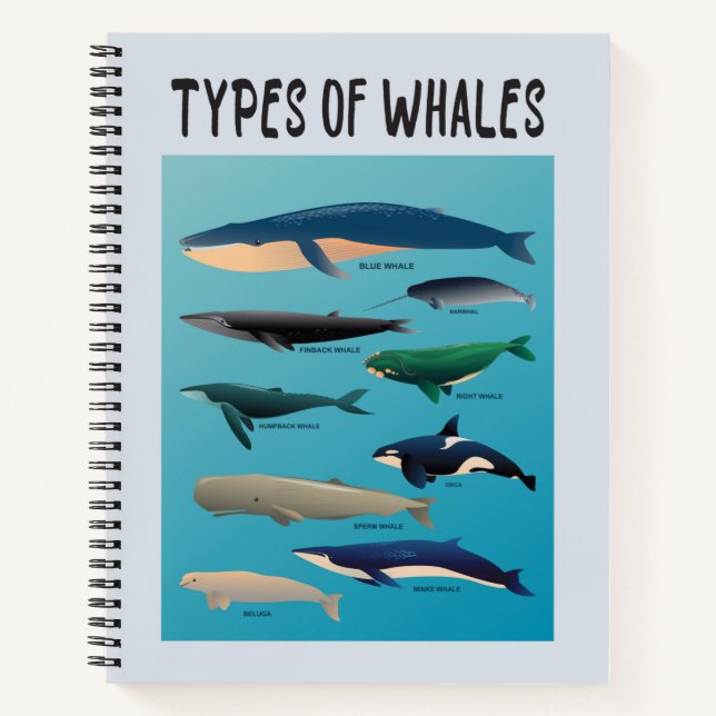 Types Of Whales Ocean Mammal Variety Notebook (Front)