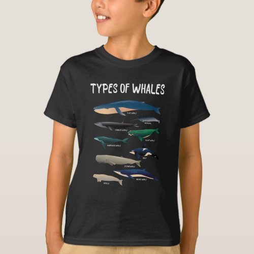 Types Of Whales Ocean Mammal Variety T_Shirt