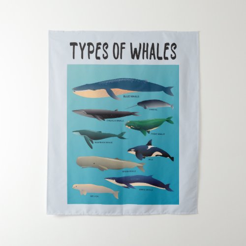 Types Of Whales Ocean Mammal Variety Tapestry