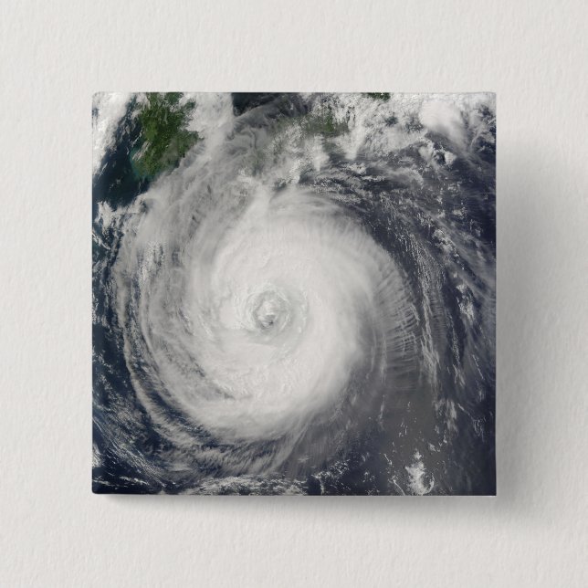 Typhoon Chaba Pinback Button (Front)