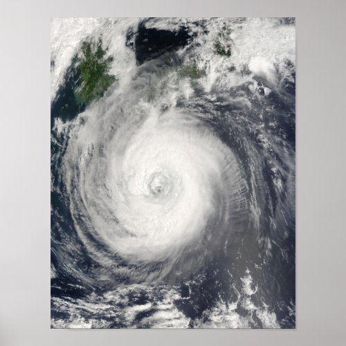 Typhoon Chaba Poster