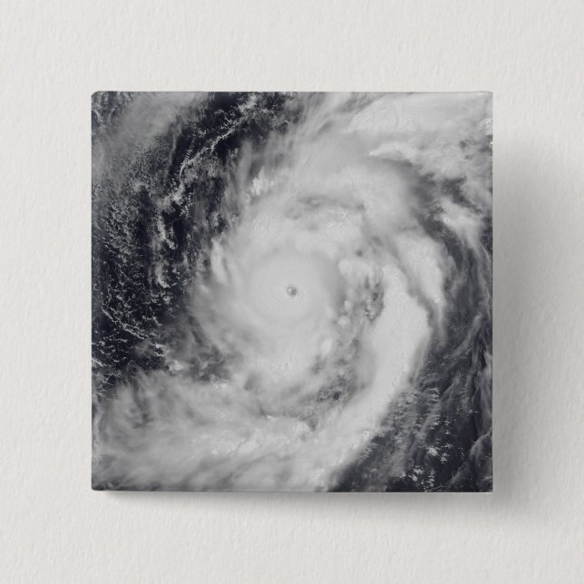 Typhoon Damrey in the western Pacific Ocean Pinback Button (Front)