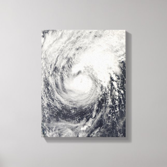 Typhoon Dolphin in the Philippine Sea Canvas Print (Front)