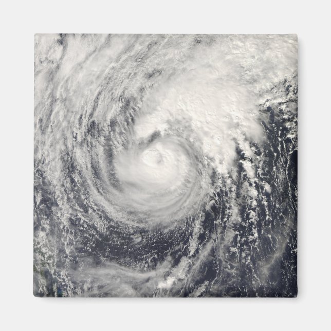 Typhoon Dolphin in the Philippine Sea Magnet (Front)