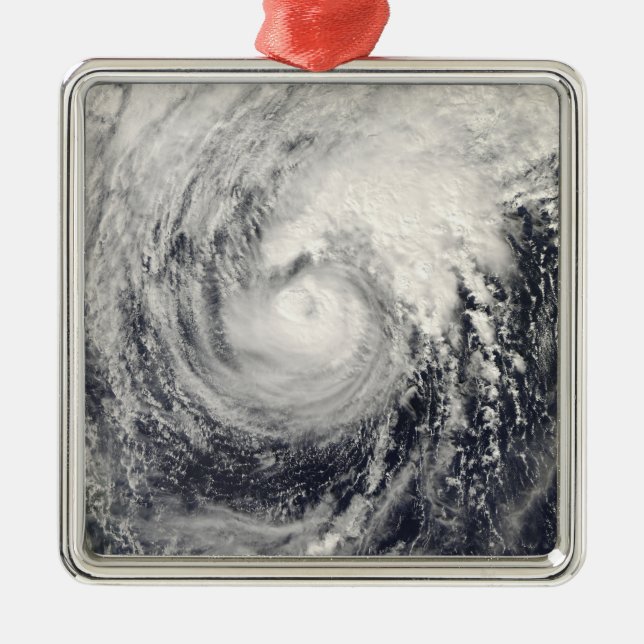 Typhoon Dolphin in the Philippine Sea Metal Ornament (Front)