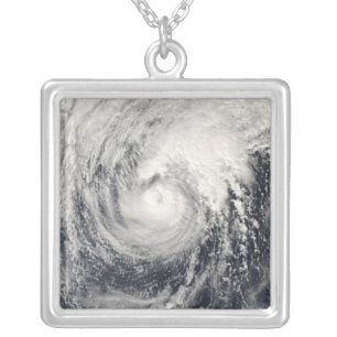 Typhoon Dolphin in the Philippine Sea Silver Plated Necklace