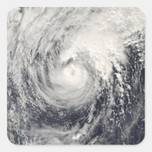 Typhoon Dolphin in the Philippine Sea Square Sticker