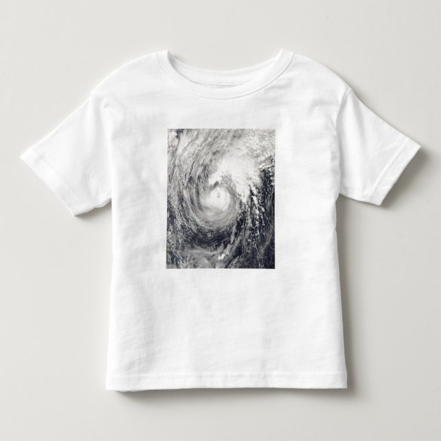 Typhoon Dolphin in the Philippine Sea Toddler T-shirt (Front)