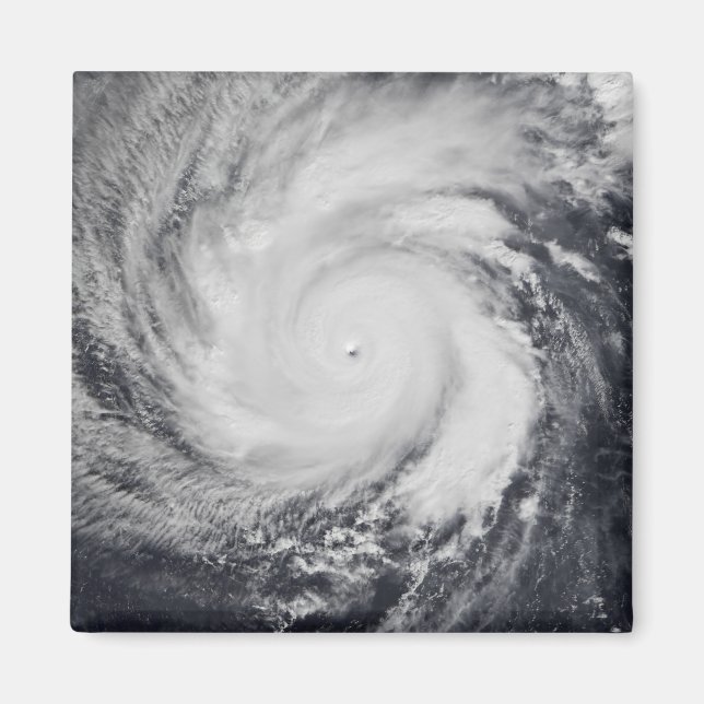 Typhoon Faxai in the western Pacific Ocean Magnet (Front)