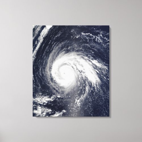 Typhoon Higos Canvas Print