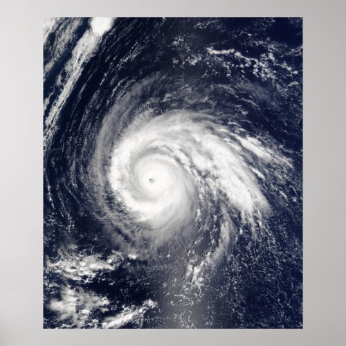 Typhoon Higos Poster