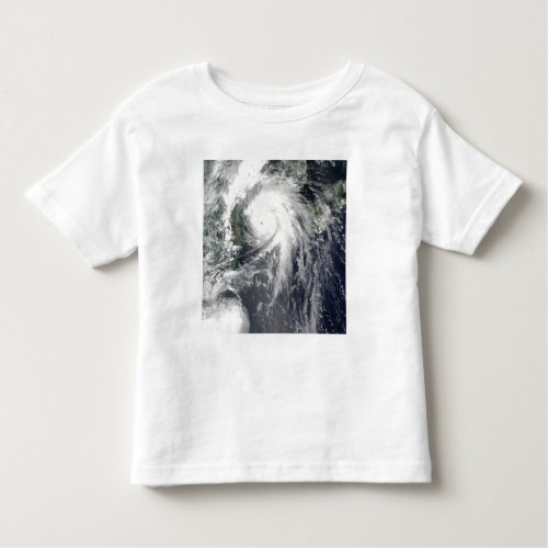 Typhoon Kompasu Toddler T_shirt