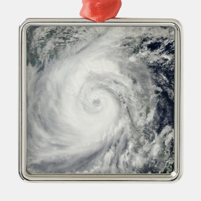 Typhoon Megi 2 Metal Ornament (Front)