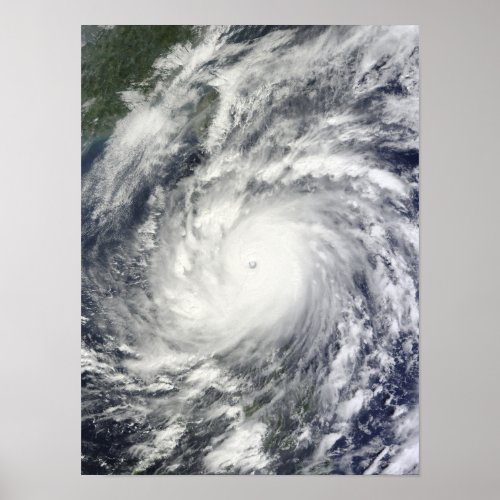 Typhoon Megi 2 Poster