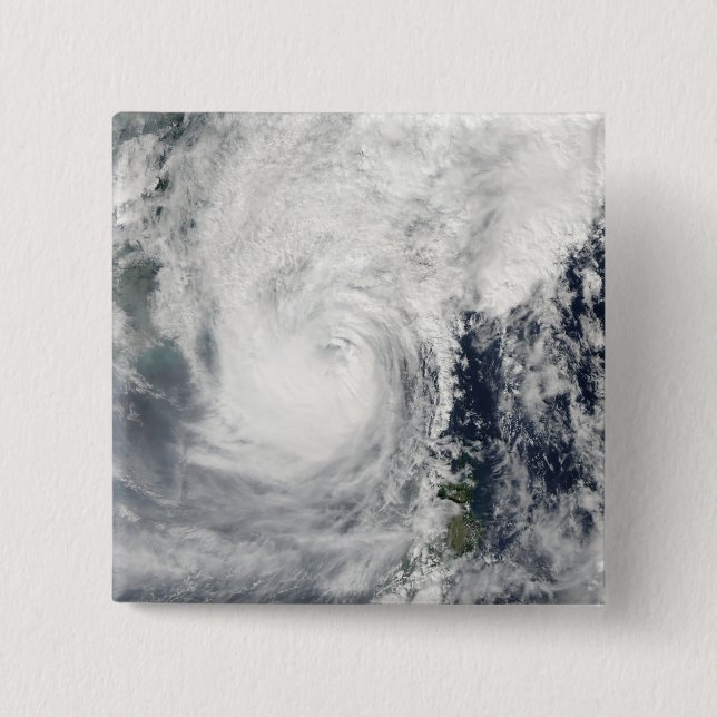 Typhoon Megi 3 Pinback Button (Front)