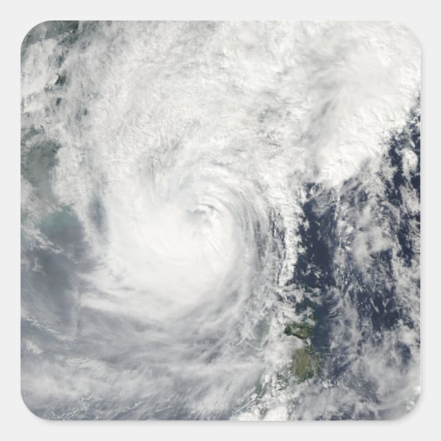Typhoon Megi 3 Square Sticker (Front)