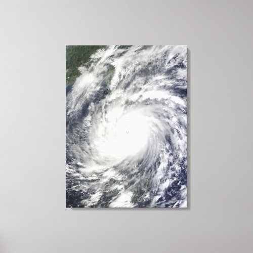 Typhoon Megi Canvas Print