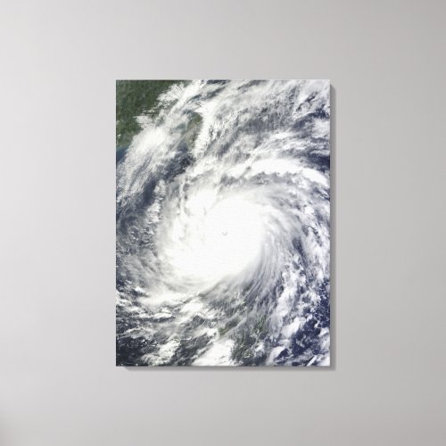 Typhoon Megi Canvas Print