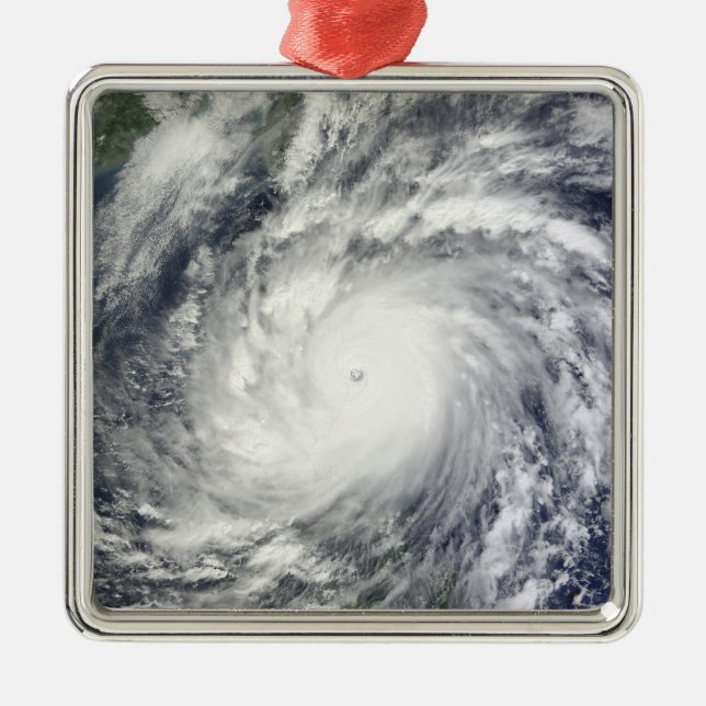 Typhoon Megi Metal Ornament (Front)