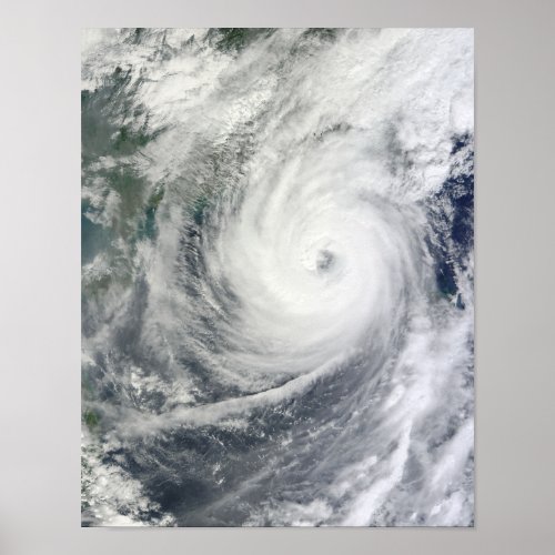 Typhoon Megi Poster