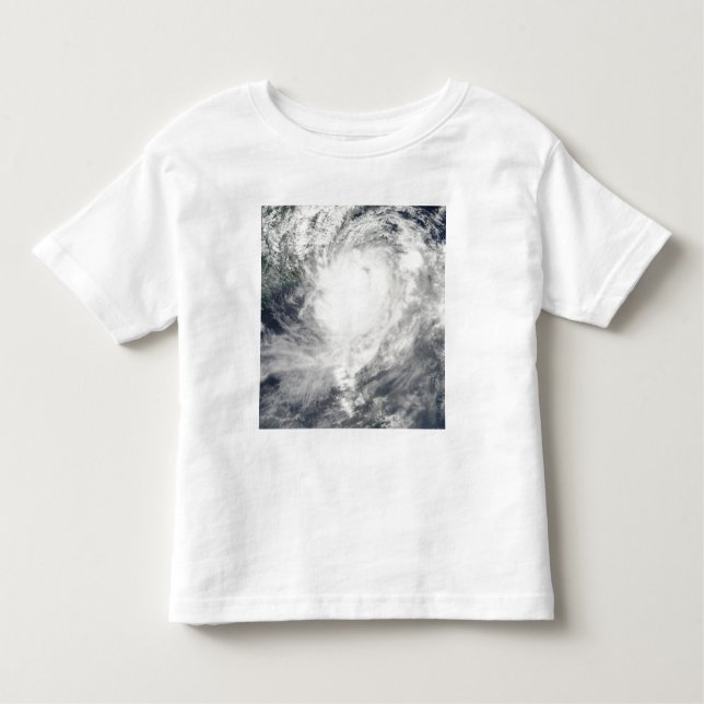 Typhoon Morakot over Taiwan Toddler T-shirt (Front)