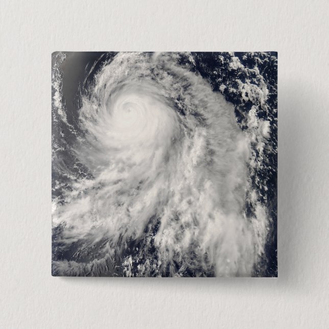 Typhoon Nakri off Japan Pinback Button (Front)