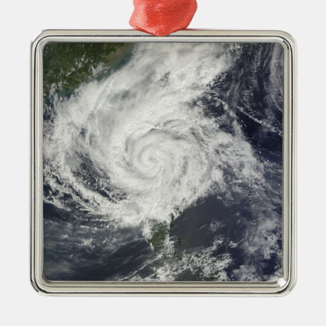 Typhoon Parma Metal Ornament (Front)