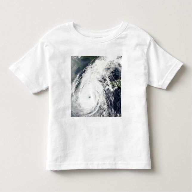 Typhoon Rusa 2 Toddler T-shirt (Front)