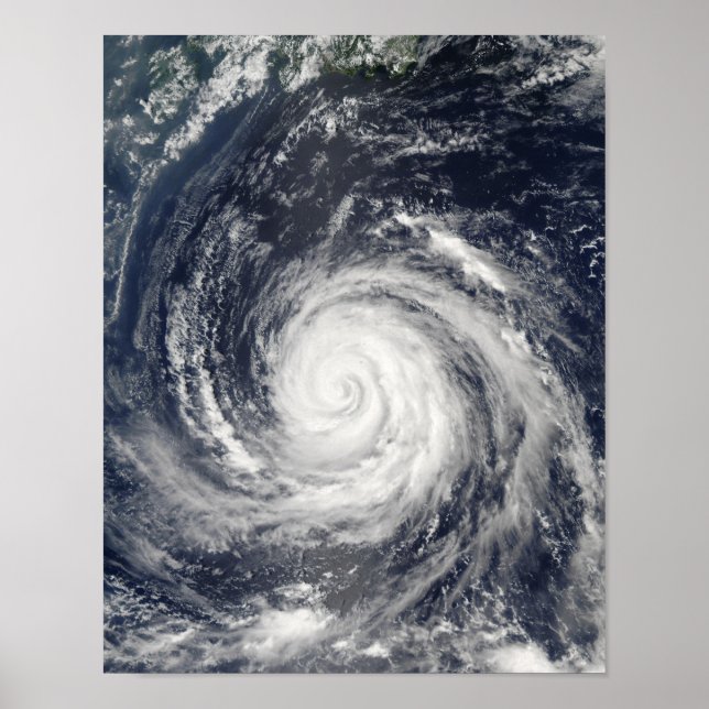 Typhoon Rusa Poster (Front)