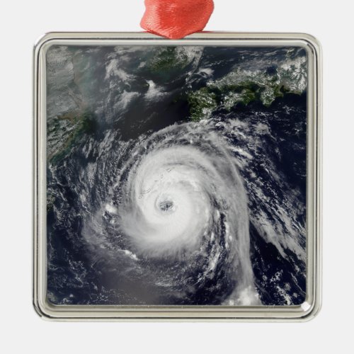 Typhoon Sinlaku 2 Metal Ornament