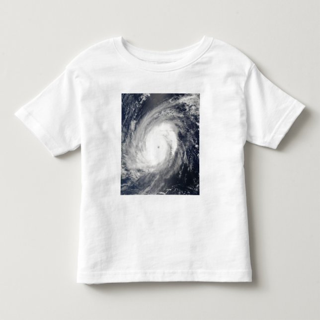 Typhoon Sudal south of Japan 2 Toddler T-shirt (Front)