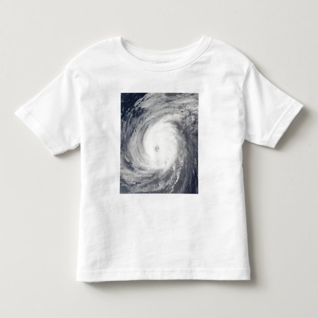 Typhoon Sudal south of Japan Toddler T-shirt (Front)