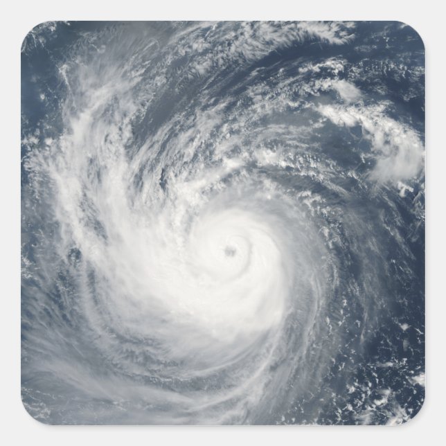 Typhoon Taim Square Sticker (Front)