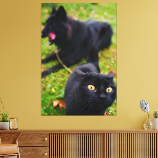 Typical Cat and Dog Antics Animal Scene Canvas Print (Insitu(LivingRoom))