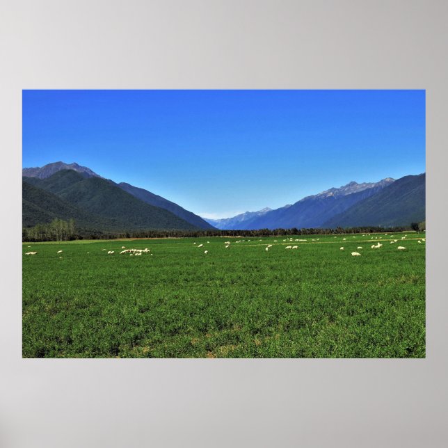 Typical New Zealand Poster (Front)