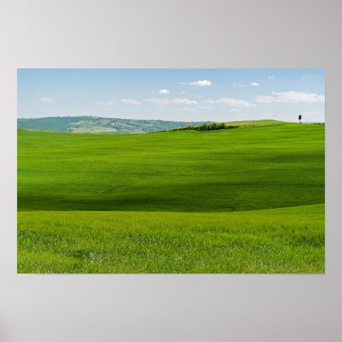 Typical Tuscany Landscape Poster