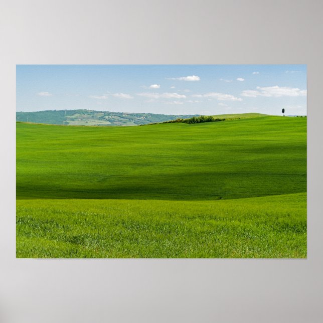 Typical Tuscany Landscape Poster (Front)
