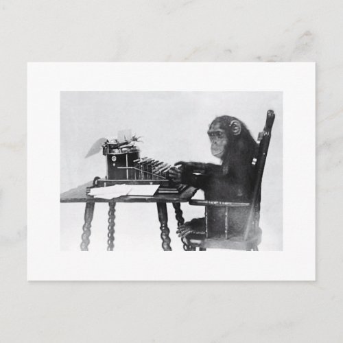 Typing Monkey Postcard