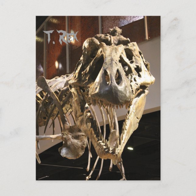 Tyrannosaurus # 4 postcard (Front)