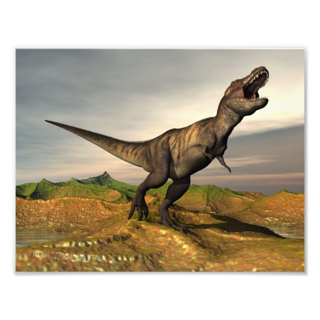 Tyrannosaurus rex dinosaur - 3D render Photo Print (Front)
