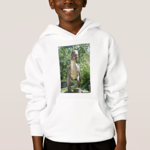 Tyrannosaurus Rex Dinosaur Hoodie