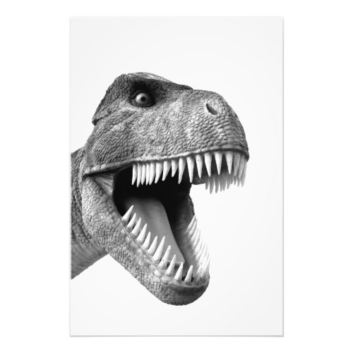 Tyrannosaurus Rex Photo Print