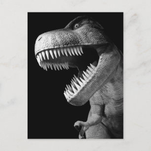 Tyrannosaurus Rex Postcard