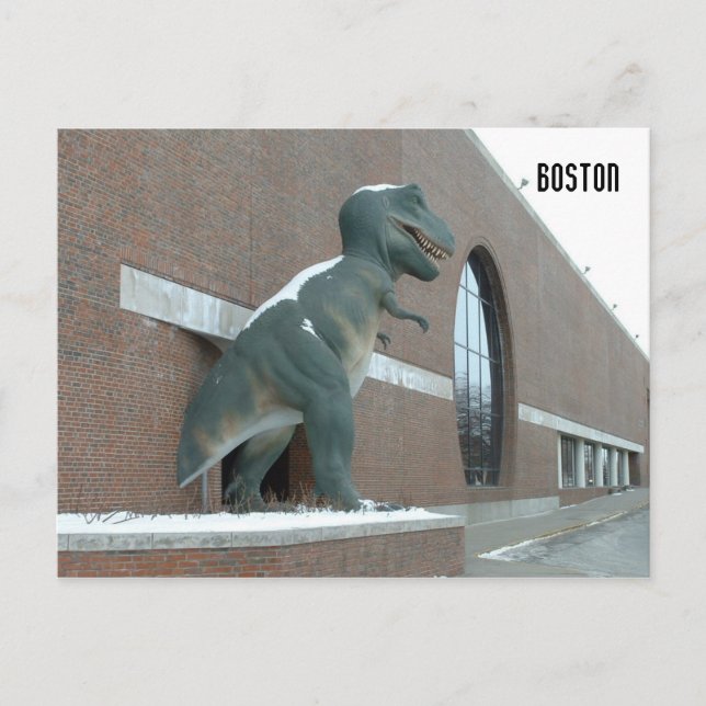 Tyrannosaurus Rex Postcard (Front)