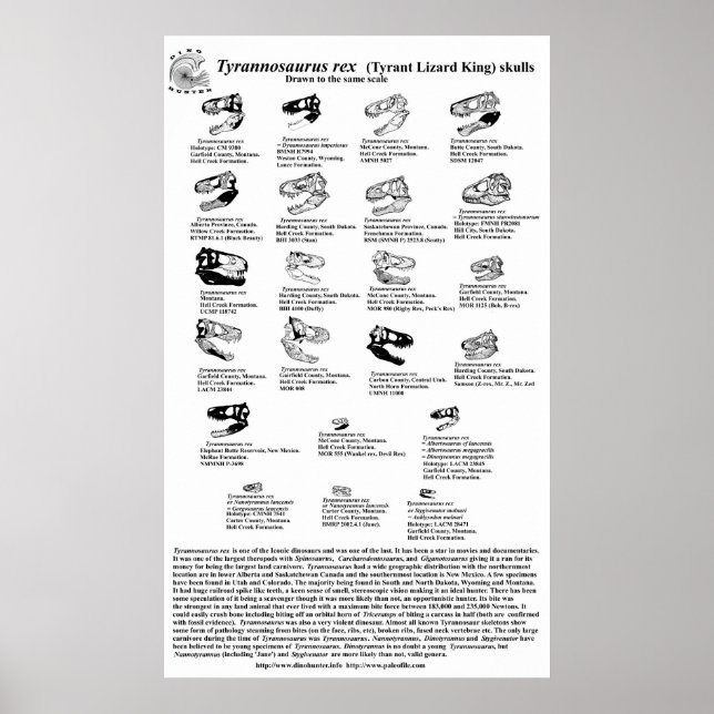 Tyrannosaurus rex poster (Front)